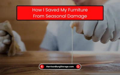 Blog 9 How I Saved My Furniture From Seasonal Damage? (2025)